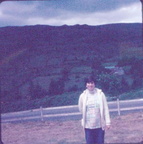 Ireland 1977 118